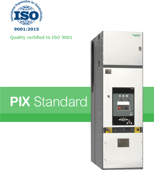 pix standard